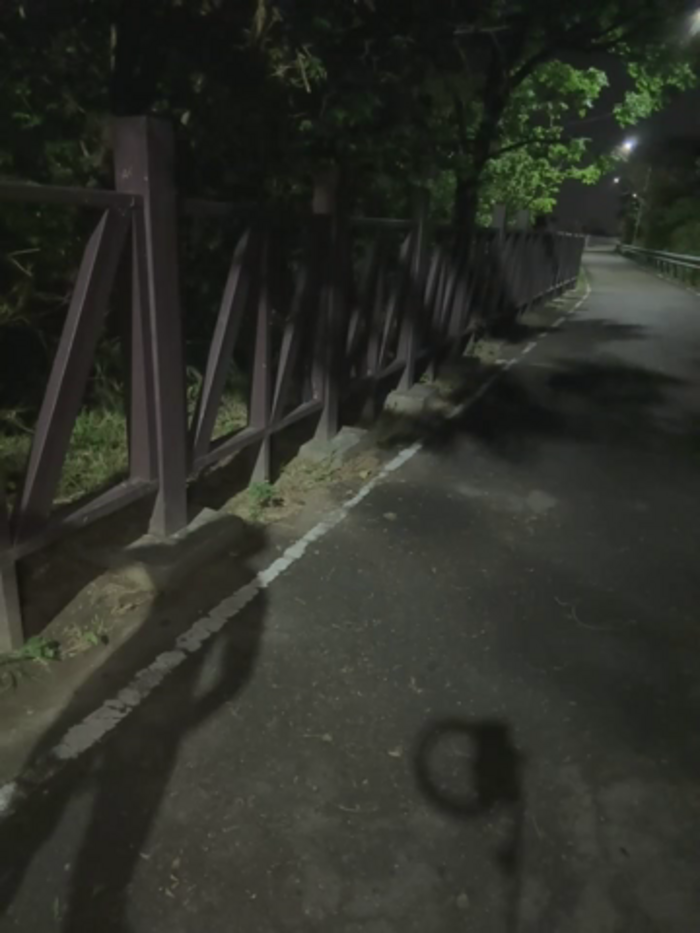 Ner0924_N