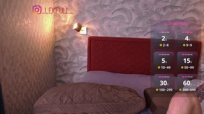lekfull-kitten