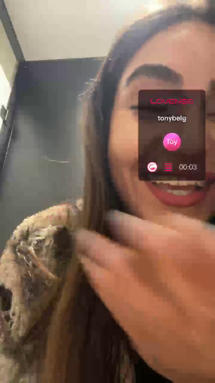 LAEDRI_LOYAL