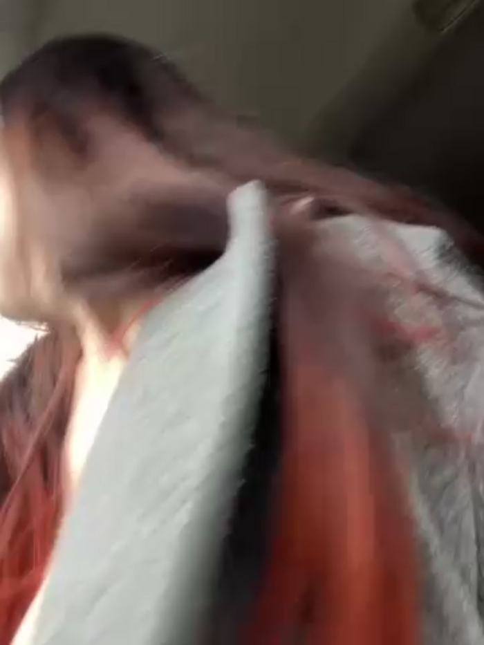 VikiDemini