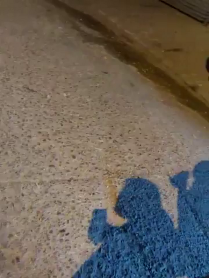 the_queen_of_street