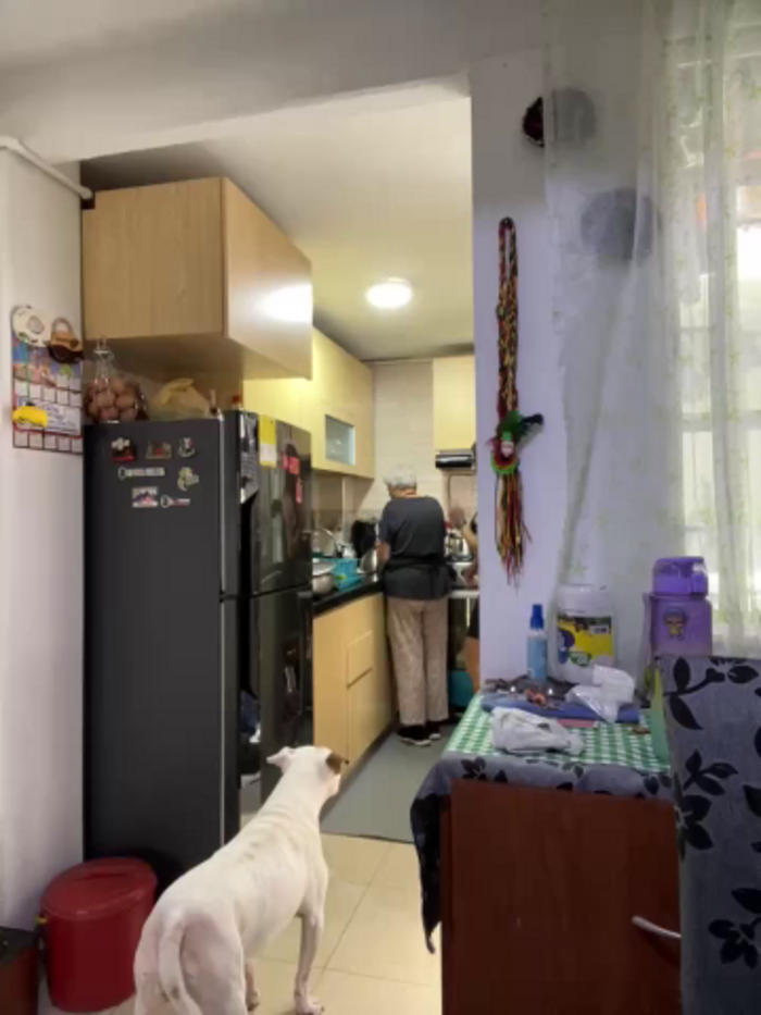 charlotte_stevenss_