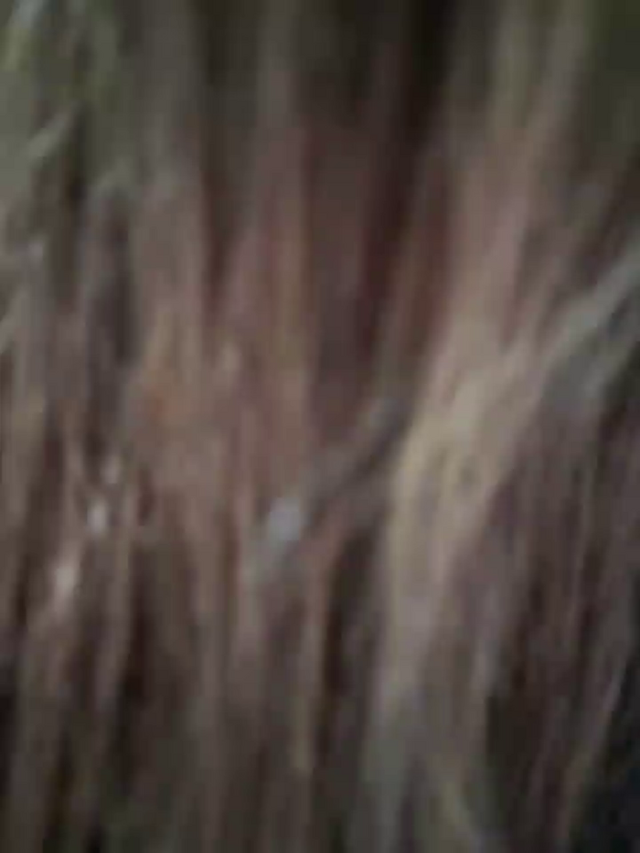 Bella_Gloria