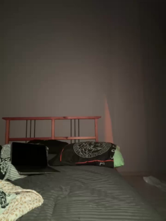 saint_cat25