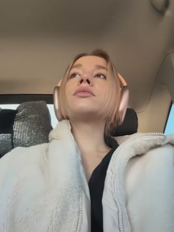 SSSATIVA_model