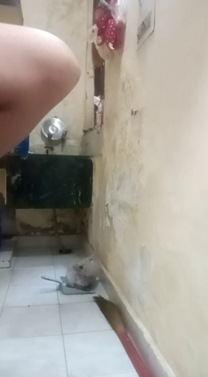 Desi_Bhabi_01