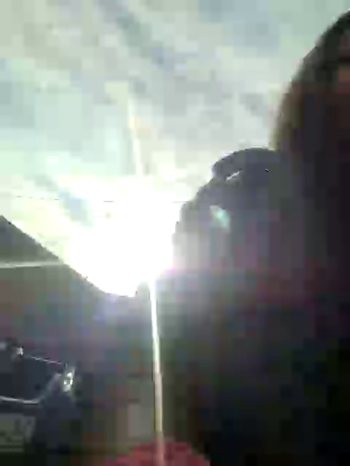 Bella_Gloria