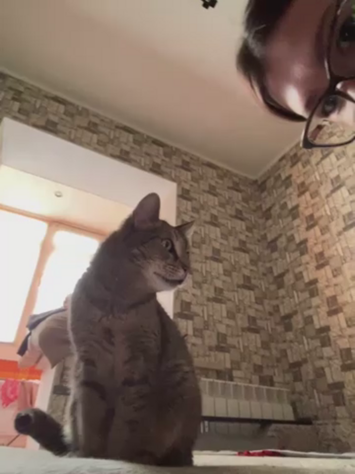 RinaCat