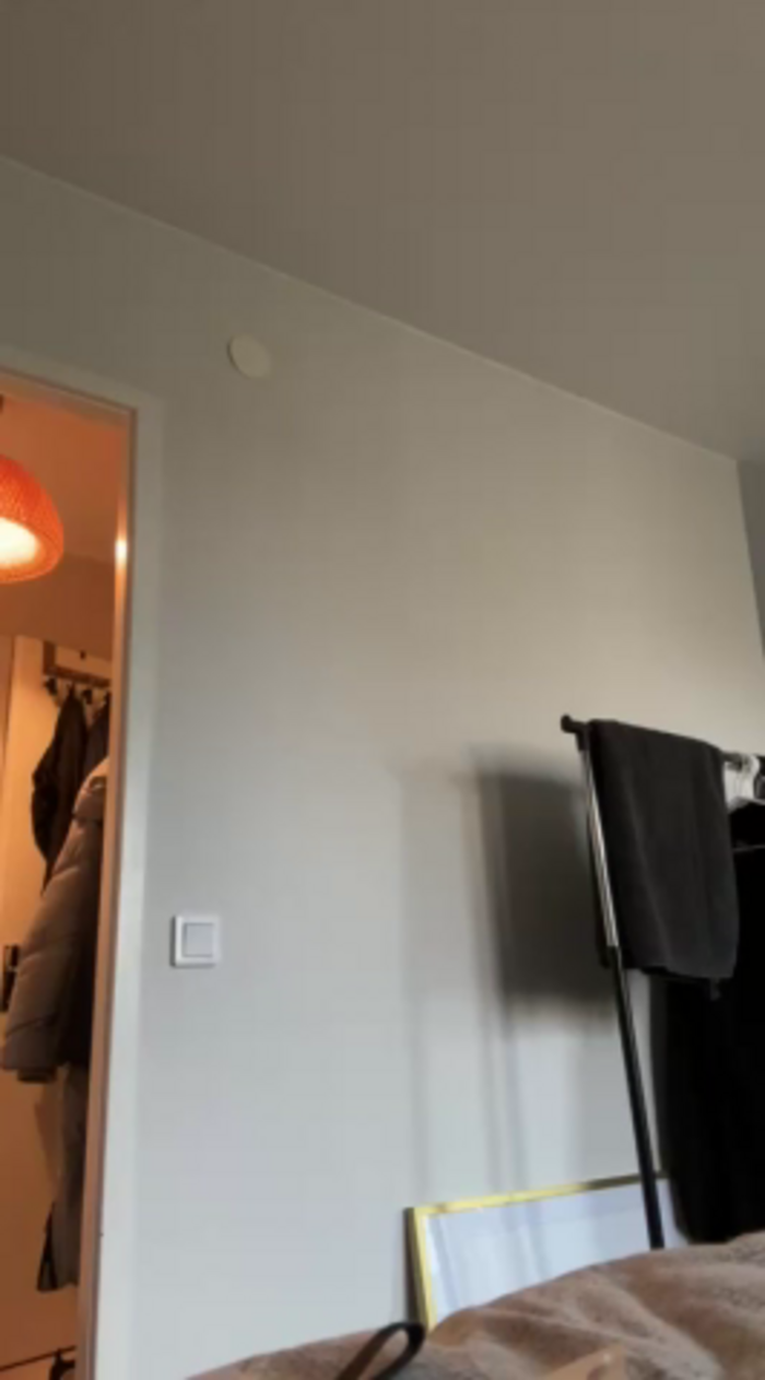SwingWingWomanSweden
