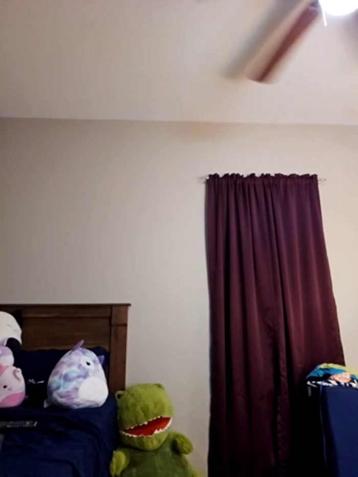 AmethystFoxx