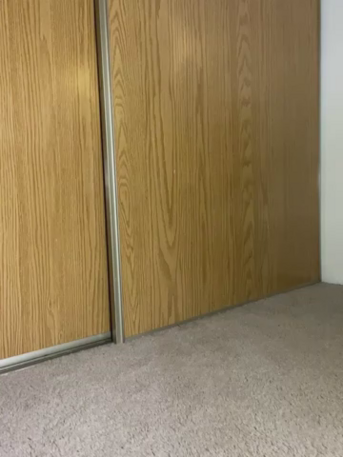 BustiBunny69