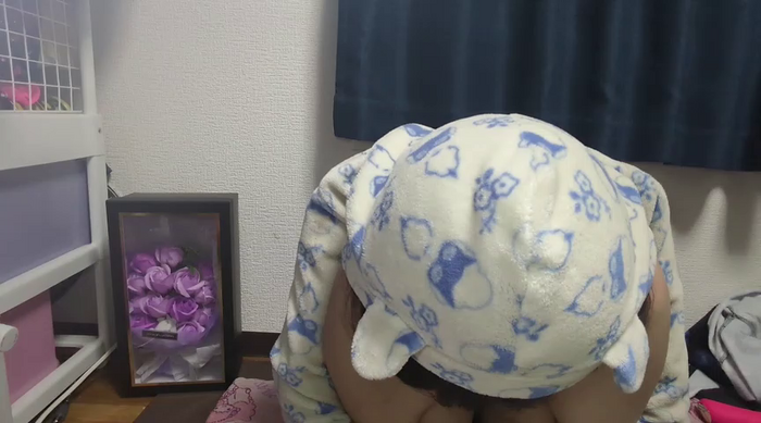 PINO_pino_01