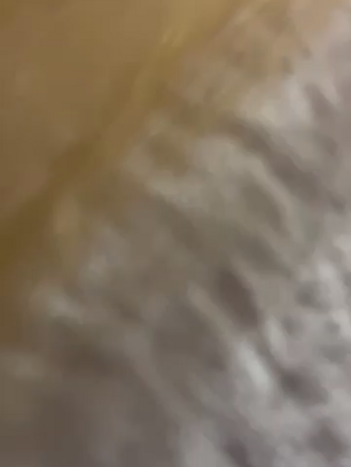 AmmyHot