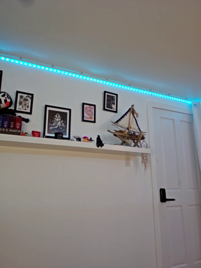 LilyOrion