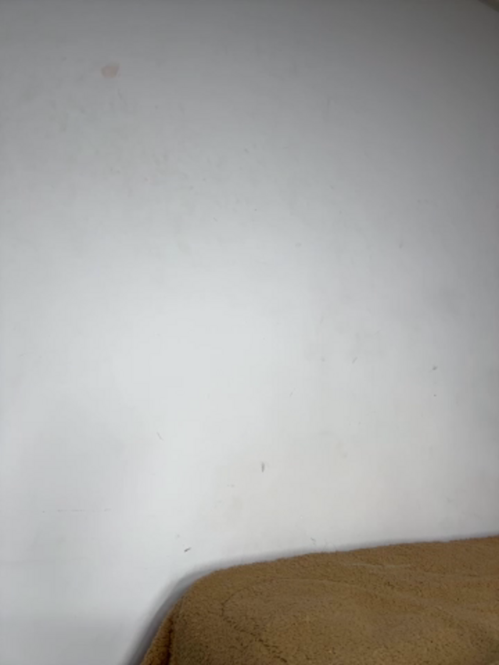 zoe_storm