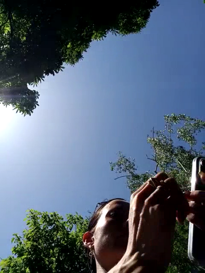 BellaJulls