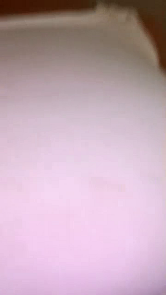 TropicalFunPaloma