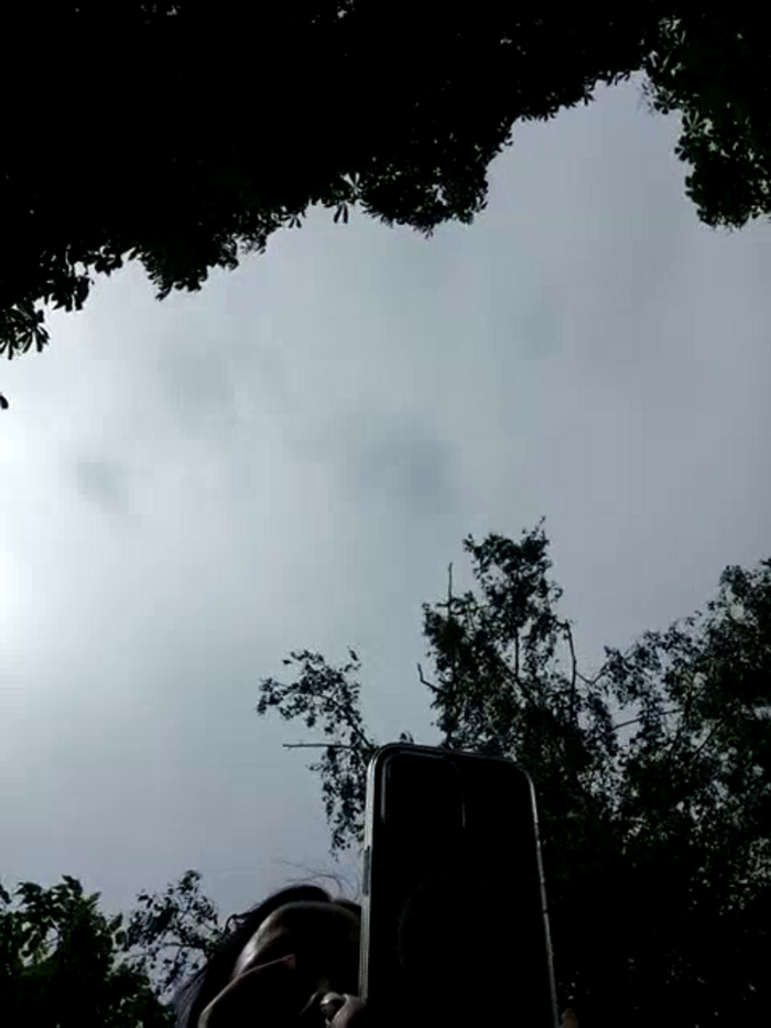 BellaJulls