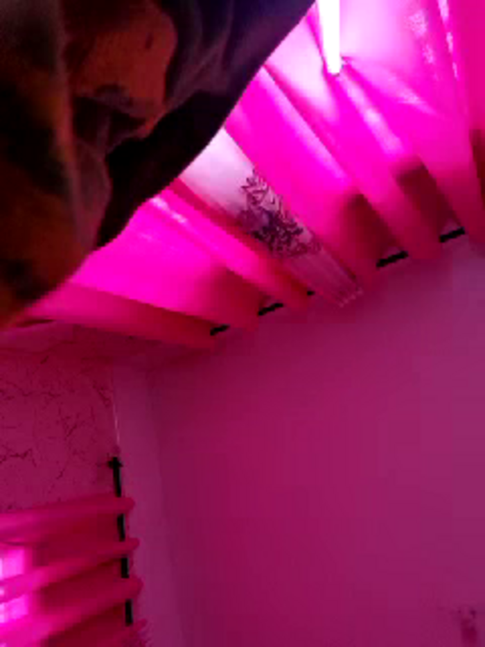 LunaCuty