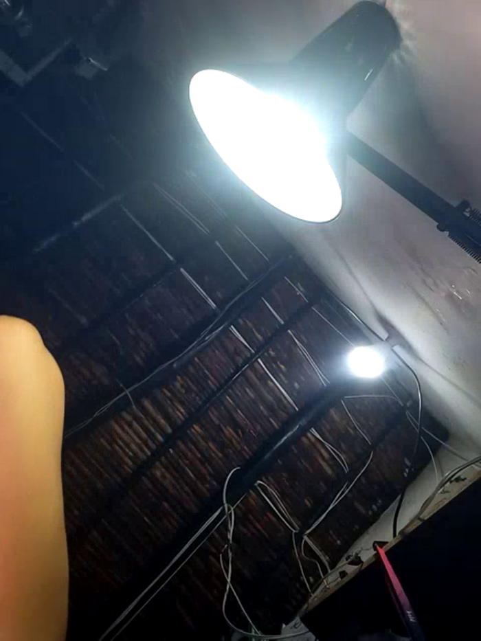 SaritaVelez