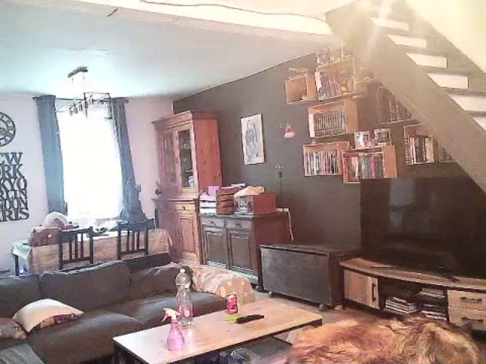 StefyNMike