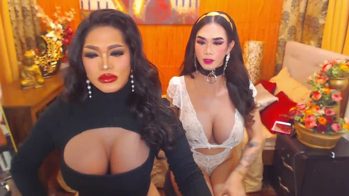 AllisonDeborahTransDuos